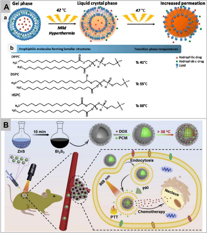https://cdn.ncbi.nlm.nih.gov/pmc/blobs/0cd7/9108129/a1d902c30129/40580_2022_313_Fig5_HTML.jpg