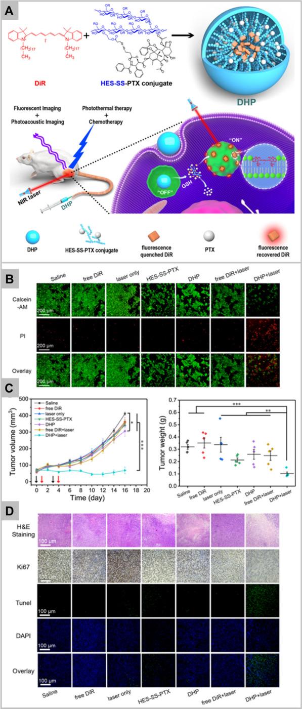 https://cdn.ncbi.nlm.nih.gov/pmc/blobs/0cd7/9108129/b23623c0268b/40580_2022_313_Fig3_HTML.jpg