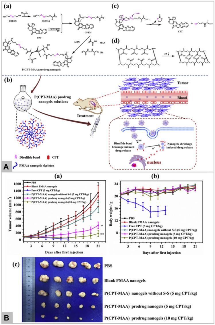https://cdn.ncbi.nlm.nih.gov/pmc/blobs/0cd7/9108129/d6f8efbb0b3f/40580_2022_313_Fig10_HTML.jpg