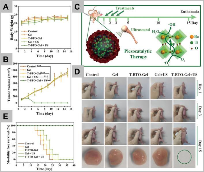 https://cdn.ncbi.nlm.nih.gov/pmc/blobs/0cd7/9108129/e15d6bdf9125/40580_2022_313_Fig7_HTML.jpg
