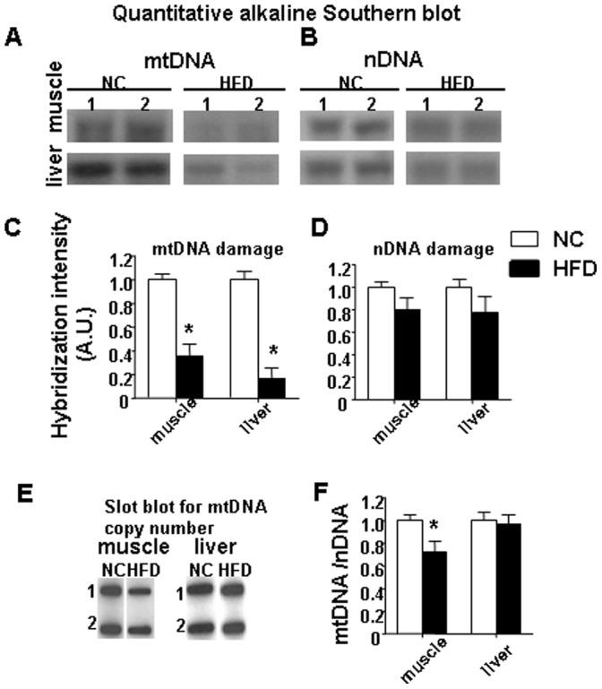 https://cdn.ncbi.nlm.nih.gov/pmc/blobs/0cd9/3546973/1a3bdafd4676/pone.0054059.g002.jpg