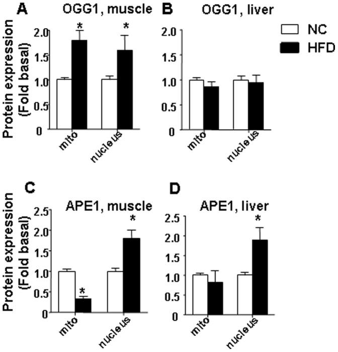 https://cdn.ncbi.nlm.nih.gov/pmc/blobs/0cd9/3546973/a2f913eb5cd2/pone.0054059.g005.jpg