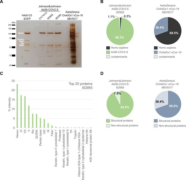 https://cdn.ncbi.nlm.nih.gov/pmc/blobs/0cdb/9313527/327083d70749/elife-78513-fig3.jpg