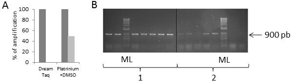 https://cdn.ncbi.nlm.nih.gov/pmc/blobs/0cdd/3664073/661103b9b8e9/1756-0500-6-201-1.jpg