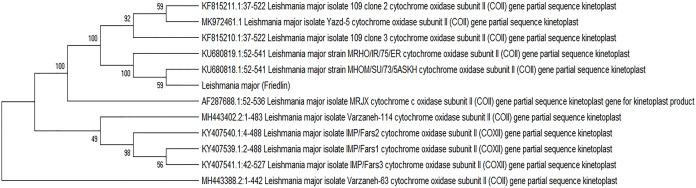 https://cdn.ncbi.nlm.nih.gov/pmc/blobs/0cde/7956003/cb0b5b97d637/peerj-09-10969-g001.jpg
