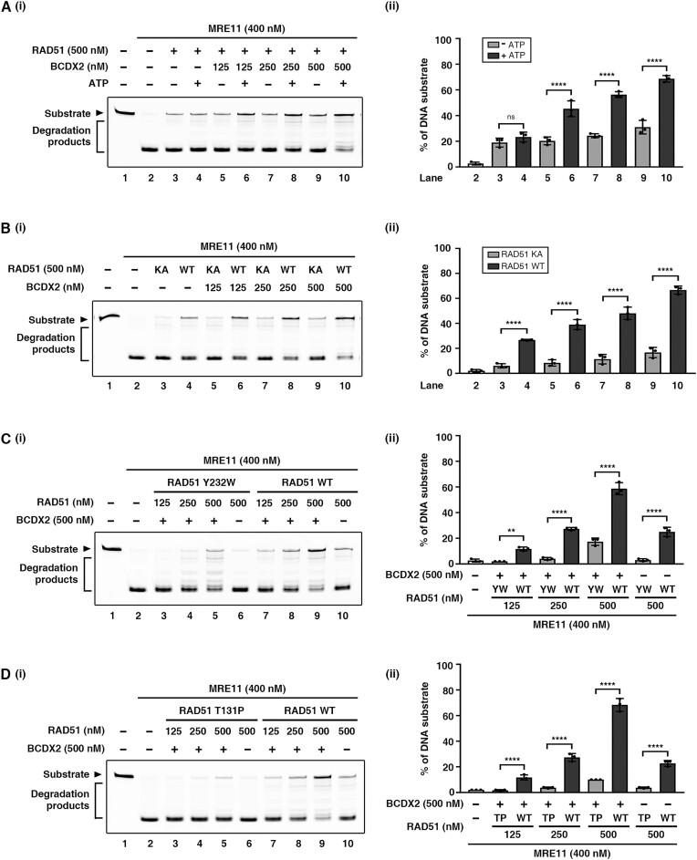 https://cdn.ncbi.nlm.nih.gov/pmc/blobs/0ce1/10681713/59b0c9e9bf28/gkad856fig3.jpg