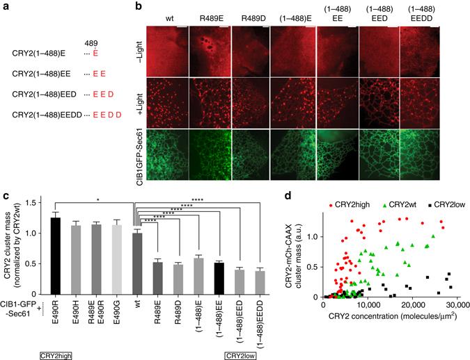 https://cdn.ncbi.nlm.nih.gov/pmc/blobs/0ce4/5601944/e2aa7e88d697/41467_2017_648_Fig3_HTML.jpg