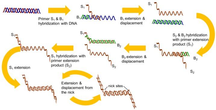 https://cdn.ncbi.nlm.nih.gov/pmc/blobs/0ce5/3436031/1a3f1e764d20/sensors-12-08319f2.jpg