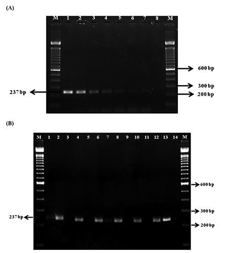 https://cdn.ncbi.nlm.nih.gov/pmc/blobs/0ce6/5076704/d8c52c464b87/ijfs-2016-1-5489-g001.jpg