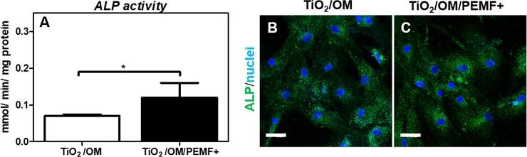 https://cdn.ncbi.nlm.nih.gov/pmc/blobs/0ce7/6002089/7403bdbfe432/pone.0199046.g004.jpg