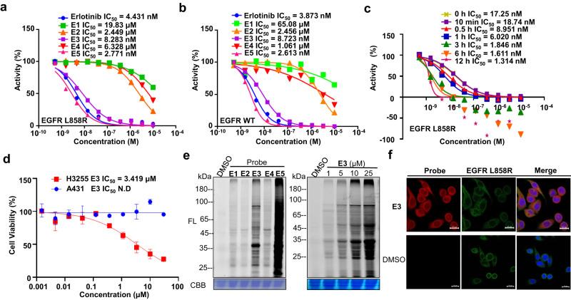 https://cdn.ncbi.nlm.nih.gov/pmc/blobs/0ce8/10866925/545d7b78eac7/42004_2024_1107_Fig5_HTML.jpg