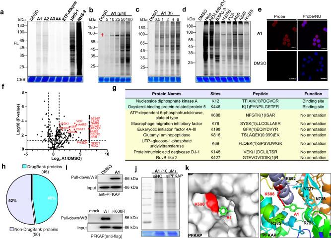 https://cdn.ncbi.nlm.nih.gov/pmc/blobs/0ce8/10866925/8779d01fab69/42004_2024_1107_Fig4_HTML.jpg
