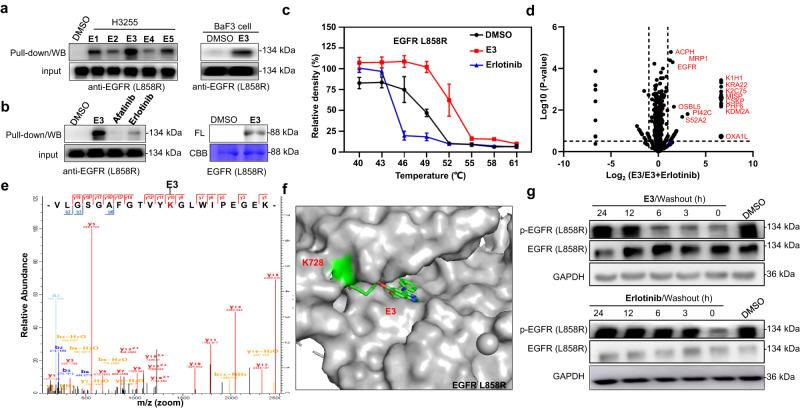 https://cdn.ncbi.nlm.nih.gov/pmc/blobs/0ce8/10866925/e945ccbdcd98/42004_2024_1107_Fig6_HTML.jpg