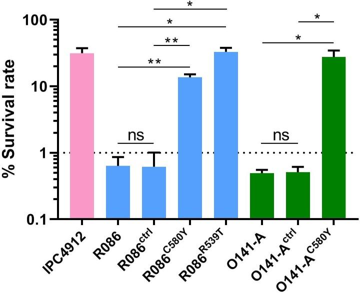 https://cdn.ncbi.nlm.nih.gov/pmc/blobs/0ce9/7217694/5be50c35512f/elife-51015-fig4.jpg