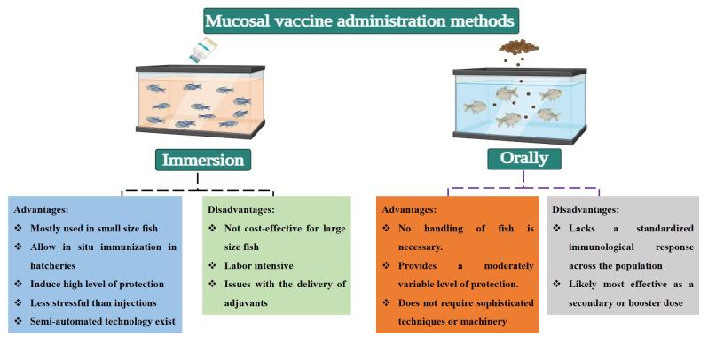 https://cdn.ncbi.nlm.nih.gov/pmc/blobs/0cea/11727089/b65ef8955e05/biology-13-00980-g002.jpg