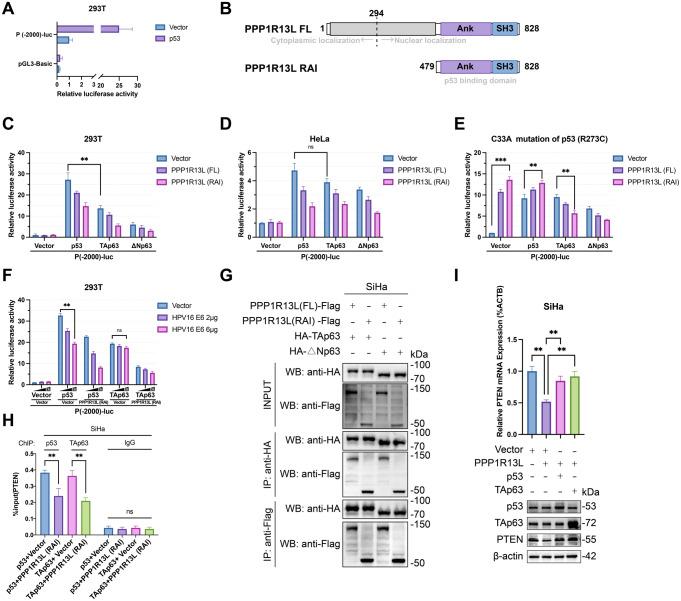 https://cdn.ncbi.nlm.nih.gov/pmc/blobs/0ceb/11868476/14c0a144d500/18_2025_5598_Fig4_HTML.jpg