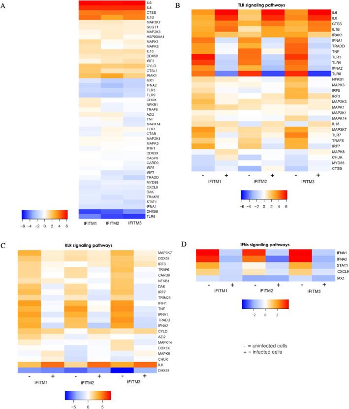 https://cdn.ncbi.nlm.nih.gov/pmc/blobs/0ceb/12056003/37ebacf65c4b/41598_2025_663_Fig5_HTML.jpg
