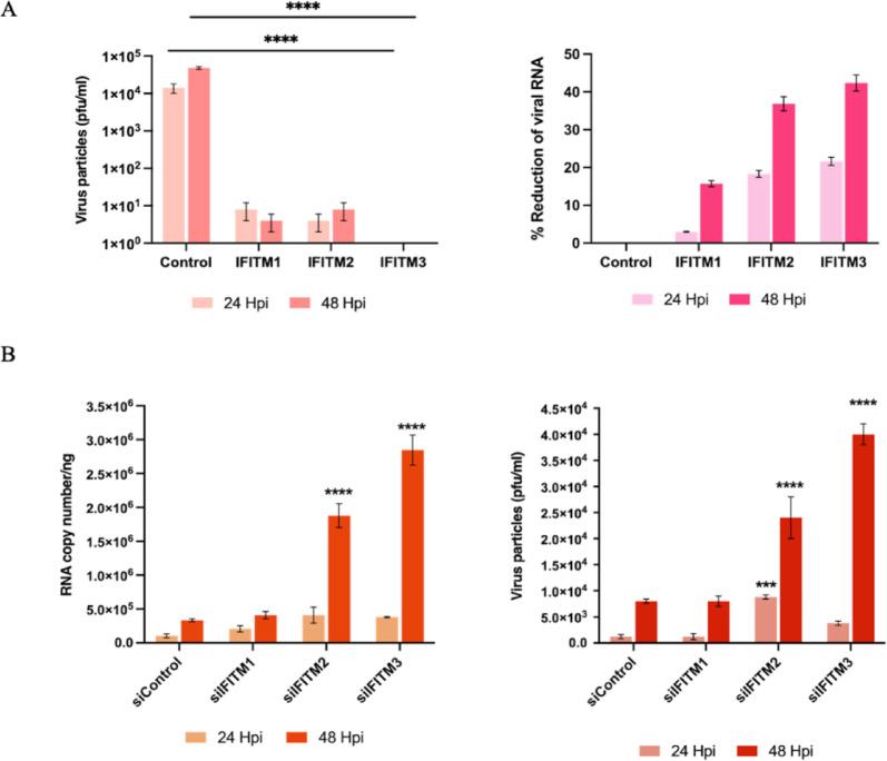https://cdn.ncbi.nlm.nih.gov/pmc/blobs/0ceb/12056003/6f6c4d8a0d19/41598_2025_663_Fig6_HTML.jpg