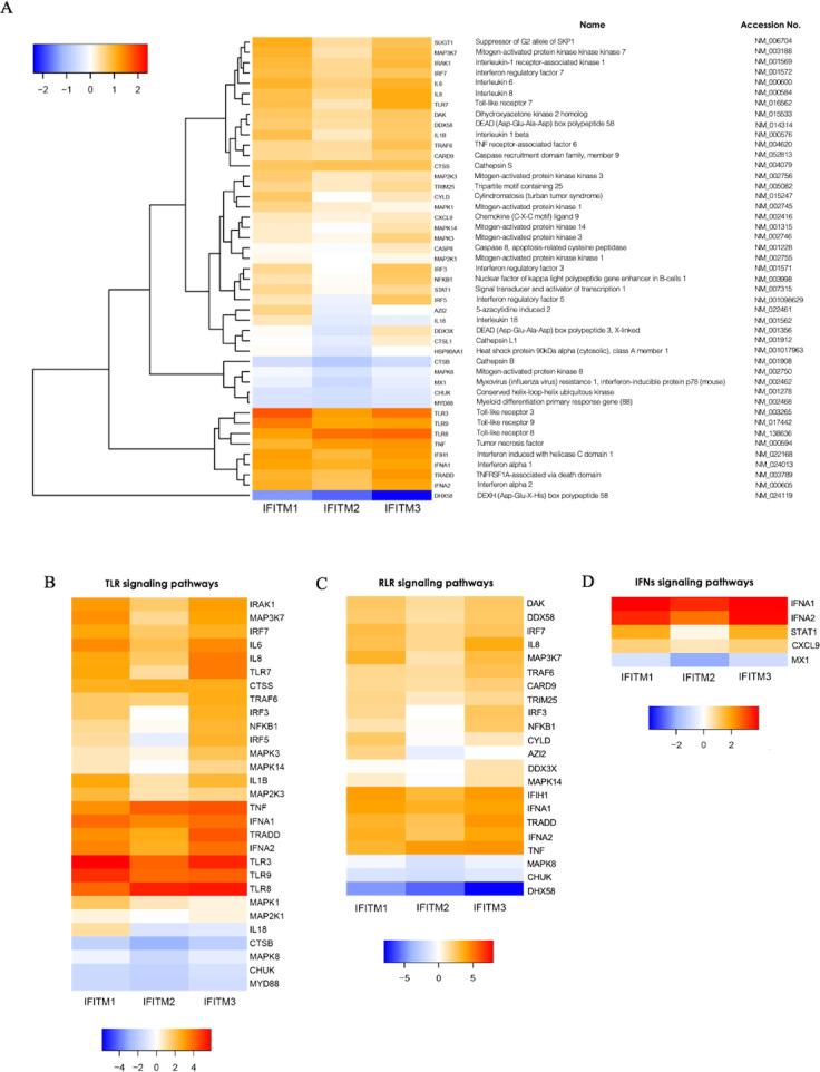 https://cdn.ncbi.nlm.nih.gov/pmc/blobs/0ceb/12056003/b272a9553d59/41598_2025_663_Fig3_HTML.jpg