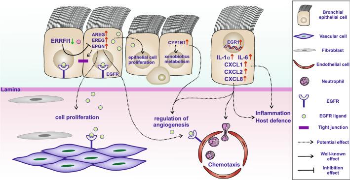 https://cdn.ncbi.nlm.nih.gov/pmc/blobs/0ceb/7840928/aff08530bd42/41598_2021_81843_Fig6_HTML.jpg