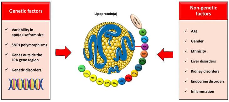 https://cdn.ncbi.nlm.nih.gov/pmc/blobs/0ced/10971284/d288a68360c6/ijms-25-03537-g002.jpg