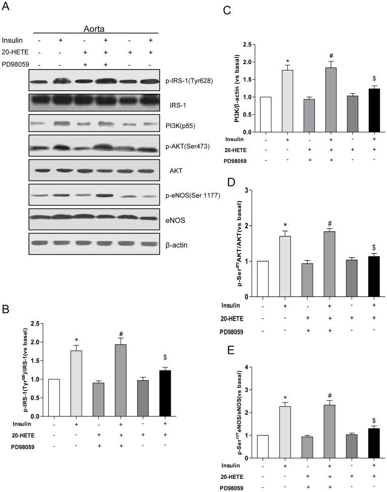 https://cdn.ncbi.nlm.nih.gov/pmc/blobs/0ced/3998975/3dd15fce059d/pone.0095841.g006.jpg