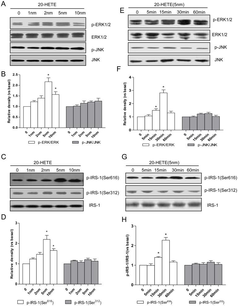 https://cdn.ncbi.nlm.nih.gov/pmc/blobs/0ced/3998975/bb88ff9182a1/pone.0095841.g001.jpg