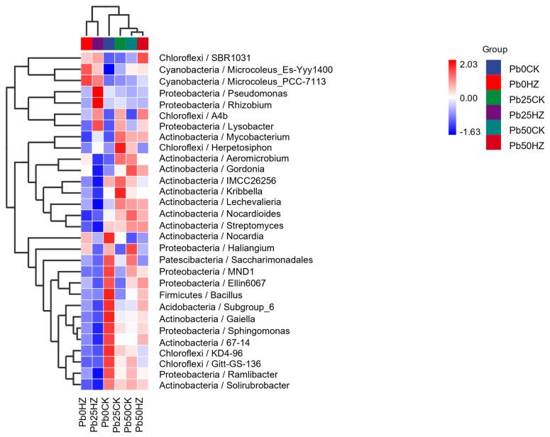 https://cdn.ncbi.nlm.nih.gov/pmc/blobs/0cee/11509687/4624d025d809/microorganisms-12-02002-g007.jpg