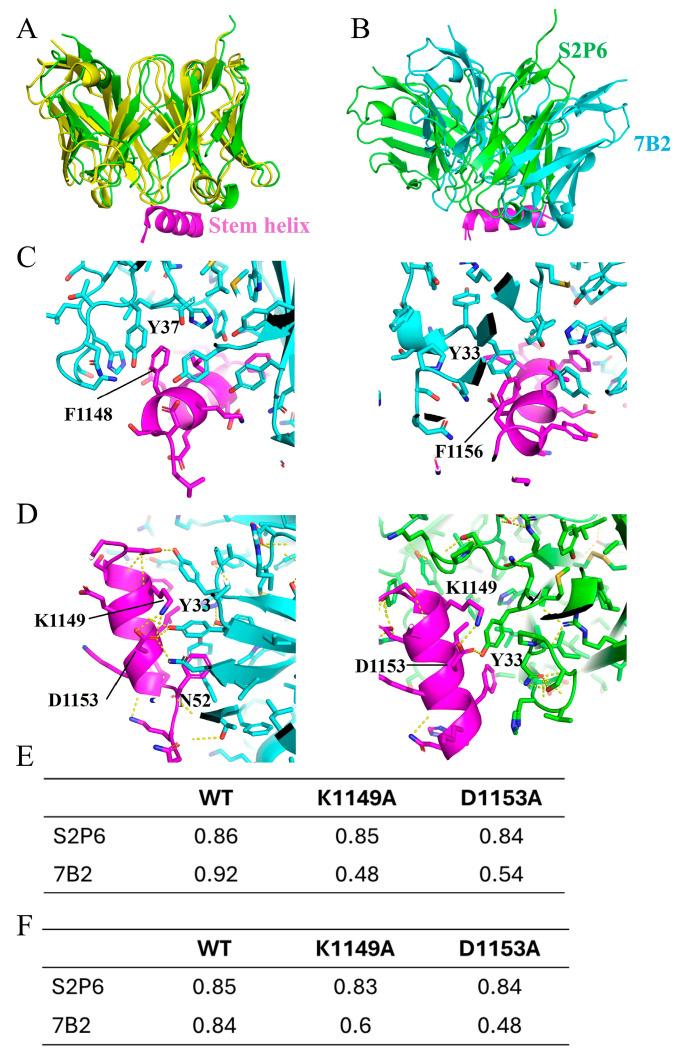 https://cdn.ncbi.nlm.nih.gov/pmc/blobs/0cee/12299175/1712ceee876b/vaccines-13-00688-g005.jpg