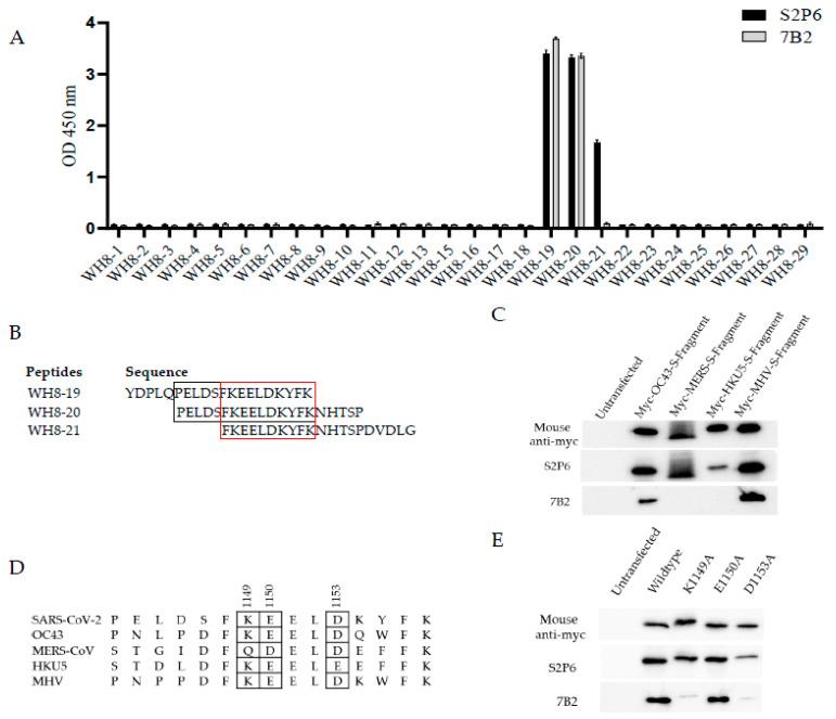 https://cdn.ncbi.nlm.nih.gov/pmc/blobs/0cee/12299175/a65bcd07fe38/vaccines-13-00688-g003.jpg