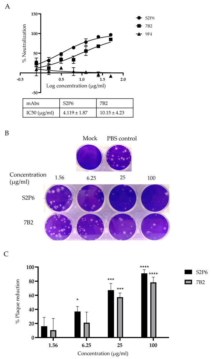 https://cdn.ncbi.nlm.nih.gov/pmc/blobs/0cee/12299175/cf92ed5bb854/vaccines-13-00688-g002.jpg