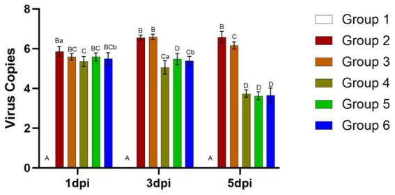 https://cdn.ncbi.nlm.nih.gov/pmc/blobs/0cef/12405357/2bb1eac3a467/fmicb-16-1641008-g007.jpg