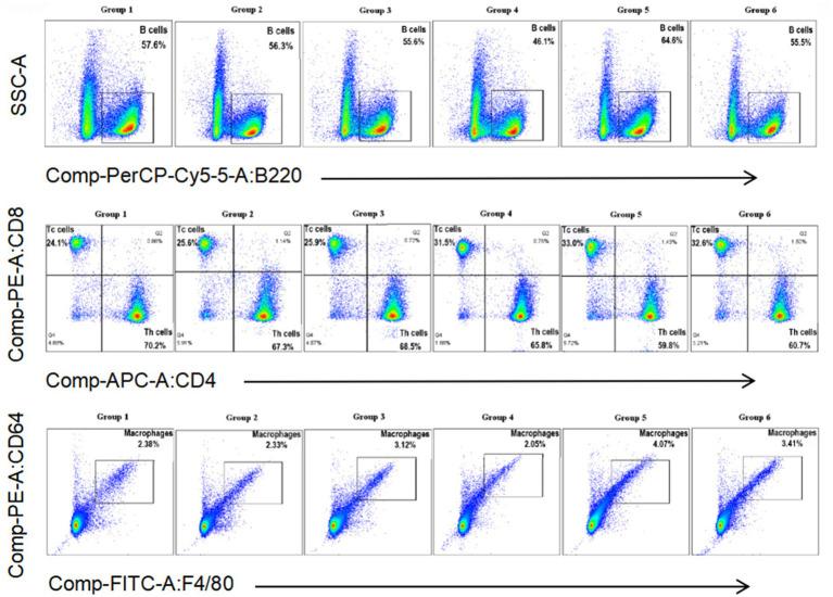https://cdn.ncbi.nlm.nih.gov/pmc/blobs/0cef/12405357/38018cea245e/fmicb-16-1641008-g004.jpg