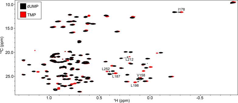 https://cdn.ncbi.nlm.nih.gov/pmc/blobs/0cef/9536839/6c39e4f60b58/elife-79915-fig7-figsupp1.jpg