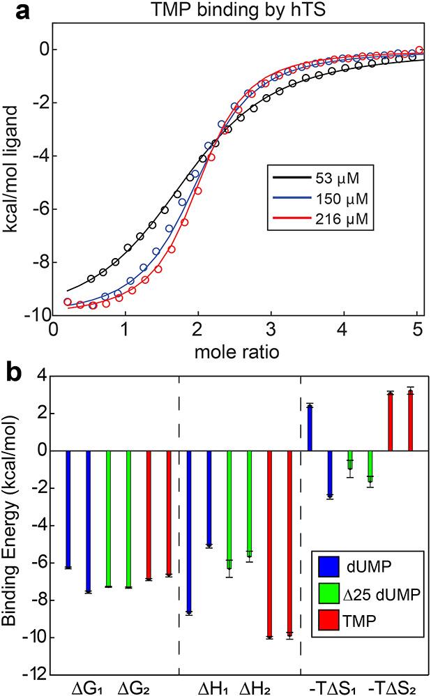 https://cdn.ncbi.nlm.nih.gov/pmc/blobs/0cef/9536839/7dfe1f2fe364/elife-79915-app1-fig3.jpg