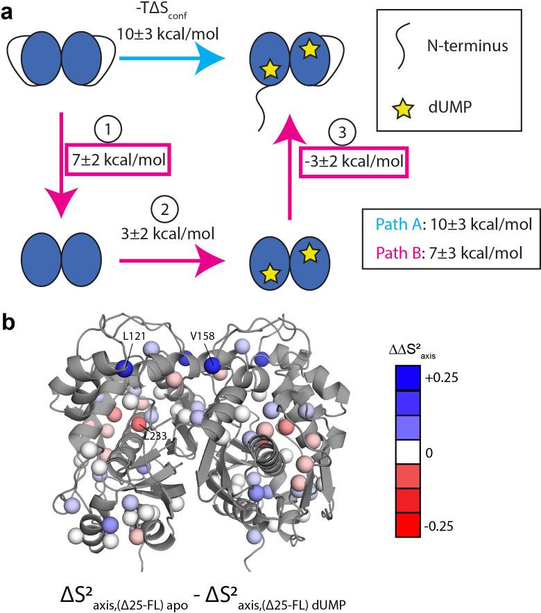 https://cdn.ncbi.nlm.nih.gov/pmc/blobs/0cef/9536839/dfb16c383ea2/elife-79915-fig8.jpg
