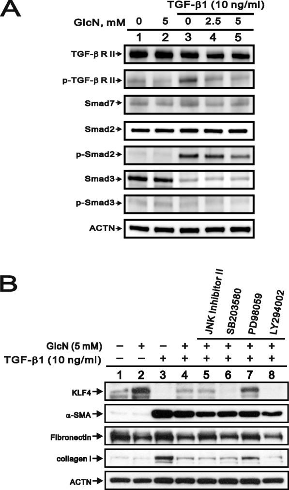 https://cdn.ncbi.nlm.nih.gov/pmc/blobs/0cf0/6784344/1ede74664a9f/12929_2019_566_Fig4_HTML.jpg