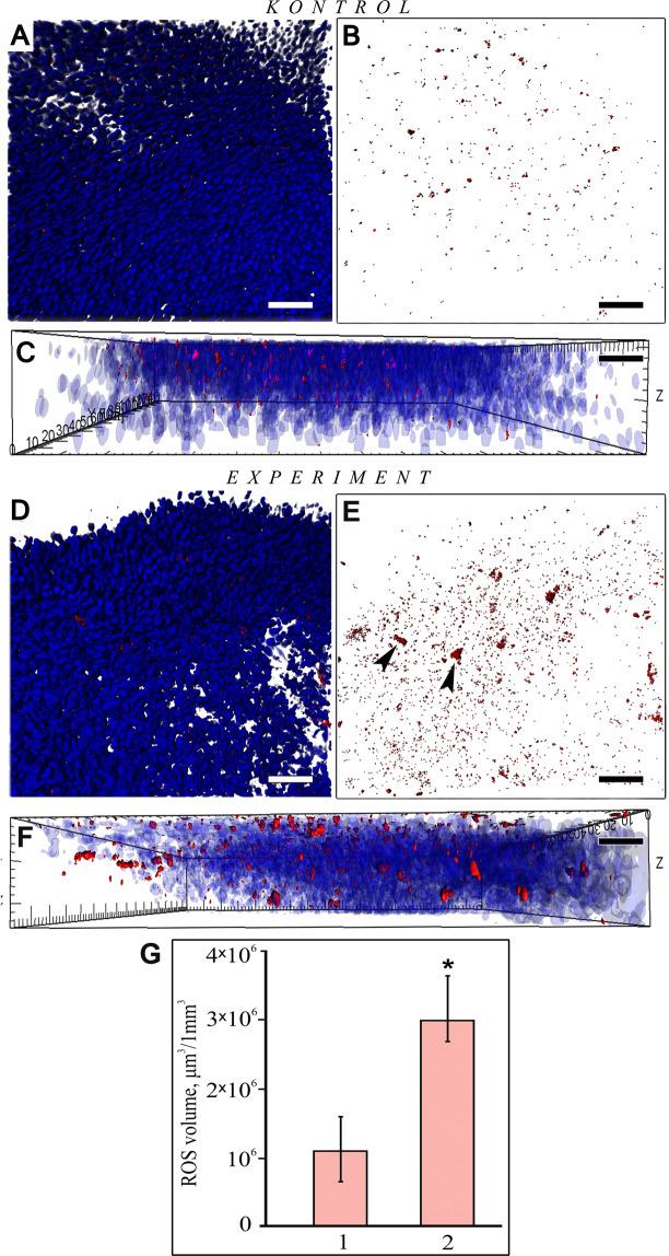 https://cdn.ncbi.nlm.nih.gov/pmc/blobs/0cf0/7264137/f185c0864869/41598_2020_65854_Fig2_HTML.jpg