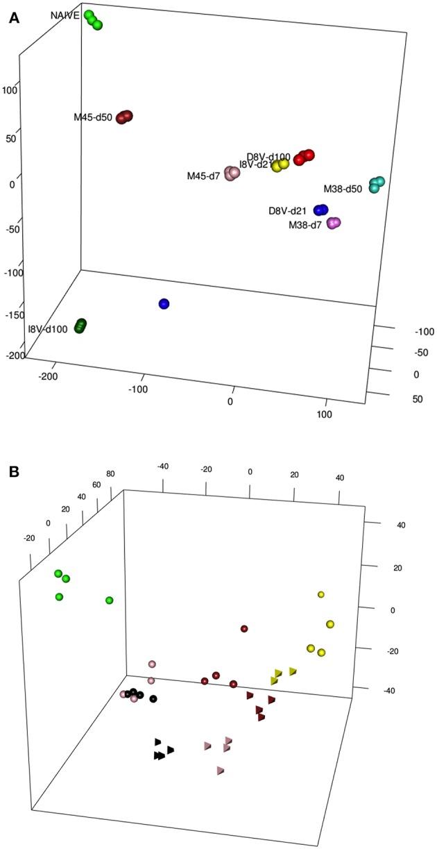 https://cdn.ncbi.nlm.nih.gov/pmc/blobs/0cf1/6414785/d5f4d74d8f62/fimmu-10-00197-g0002.jpg