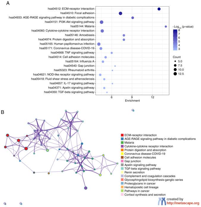 https://cdn.ncbi.nlm.nih.gov/pmc/blobs/0cf3/12242909/7bb628202daf/ol-30-03-15165-g04.jpg