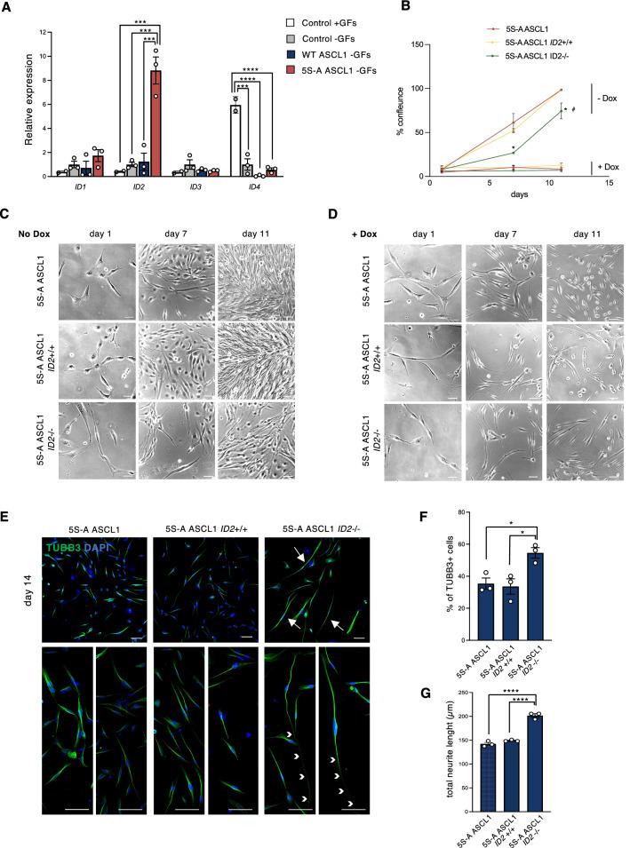 https://cdn.ncbi.nlm.nih.gov/pmc/blobs/0cf4/8837758/cca952c39109/41598_2022_6248_Fig4_HTML.jpg