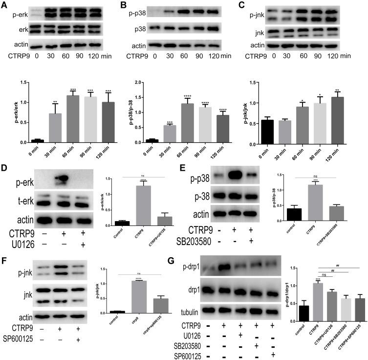 https://cdn.ncbi.nlm.nih.gov/pmc/blobs/0cf5/8001589/25700c1a0ea3/JIR-14-1007-g0003.jpg