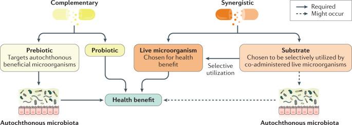 https://cdn.ncbi.nlm.nih.gov/pmc/blobs/0cf6/7581511/6dae6e5642d2/41575_2020_344_Fig2_HTML.jpg