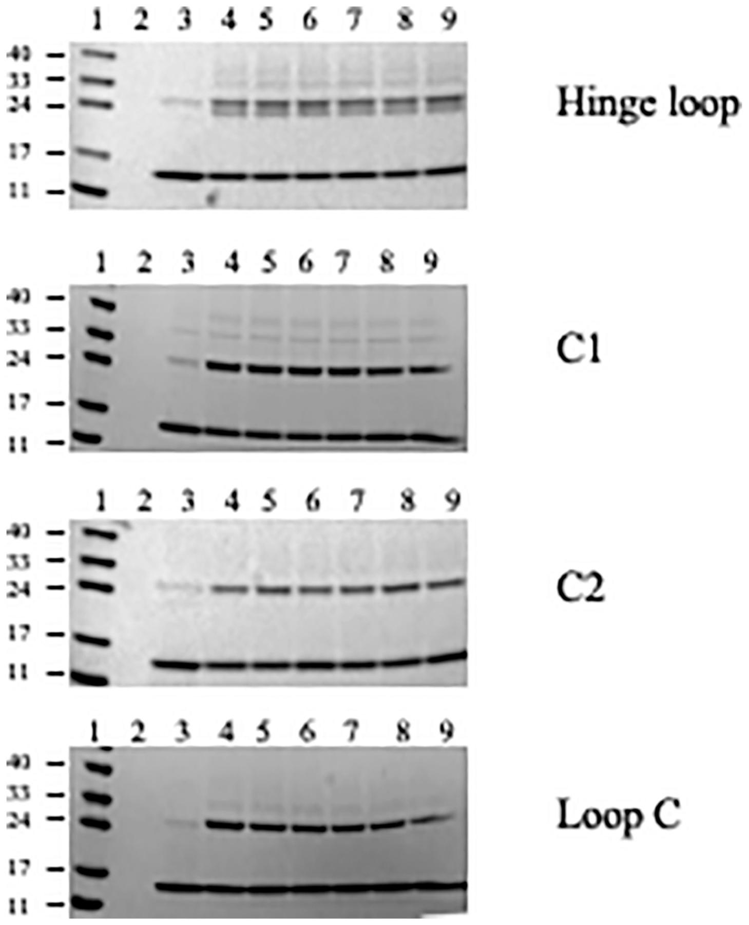 https://cdn.ncbi.nlm.nih.gov/pmc/blobs/0cfb/8211829/69c39af2ffff/nihms-1706340-f0005.jpg
