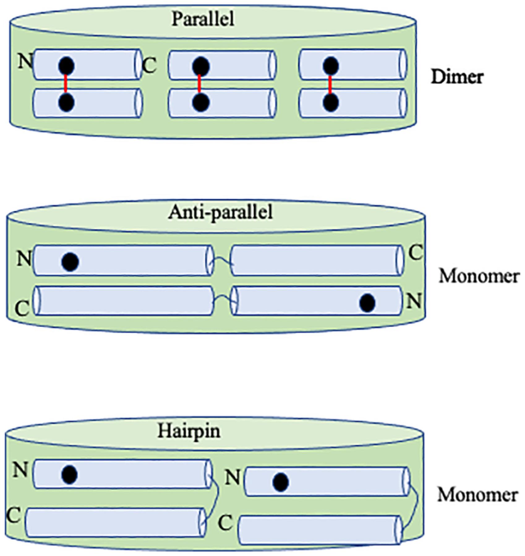 https://cdn.ncbi.nlm.nih.gov/pmc/blobs/0cfb/8211829/6e2bdafd051d/nihms-1706340-f0007.jpg