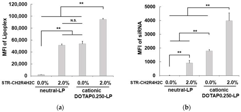 https://cdn.ncbi.nlm.nih.gov/pmc/blobs/0cfc/9962392/b486c4d04fe5/pharmaceutics-15-00611-g002.jpg