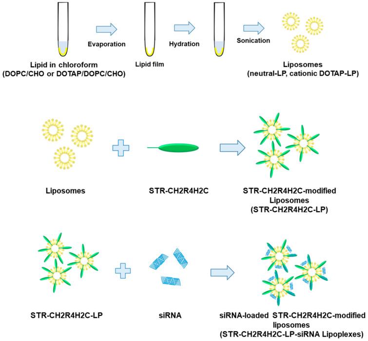 https://cdn.ncbi.nlm.nih.gov/pmc/blobs/0cfc/9962392/f7a4cbcb8458/pharmaceutics-15-00611-sch001.jpg