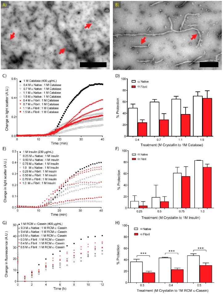 https://cdn.ncbi.nlm.nih.gov/pmc/blobs/0cfd/5618248/f658c1a4dfe8/biomolecules-07-00067-g001.jpg