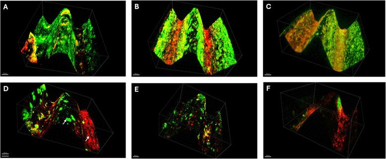 https://cdn.ncbi.nlm.nih.gov/pmc/blobs/0cfe/12275246/14d714516ae2/12903_2025_6580_Fig1_HTML.jpg