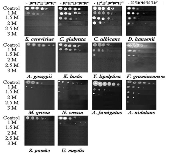 https://cdn.ncbi.nlm.nih.gov/pmc/blobs/0d00/2666651/97c2fbeb0668/1471-2148-9-44-2.jpg